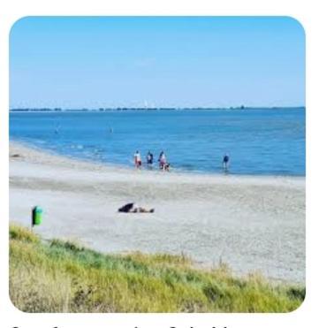 'T Blauwtje Baarland Exterior foto