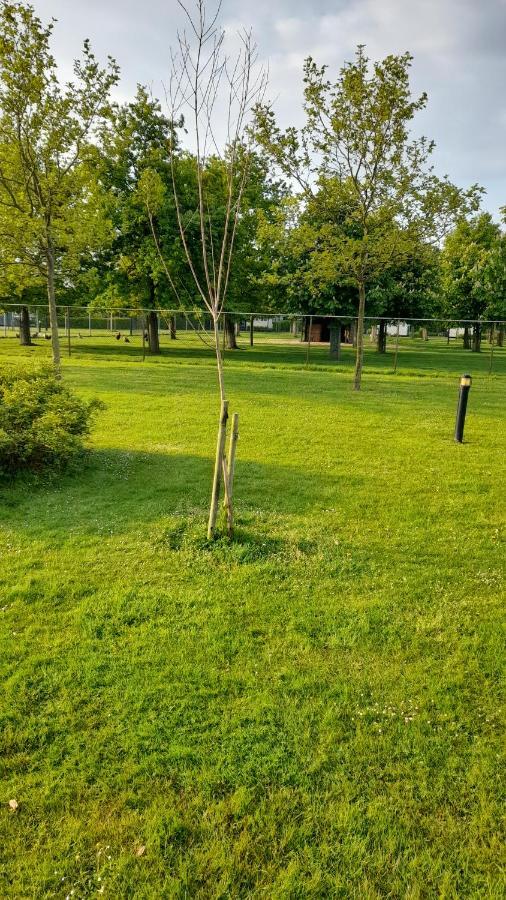 'T Blauwtje Baarland Exterior foto